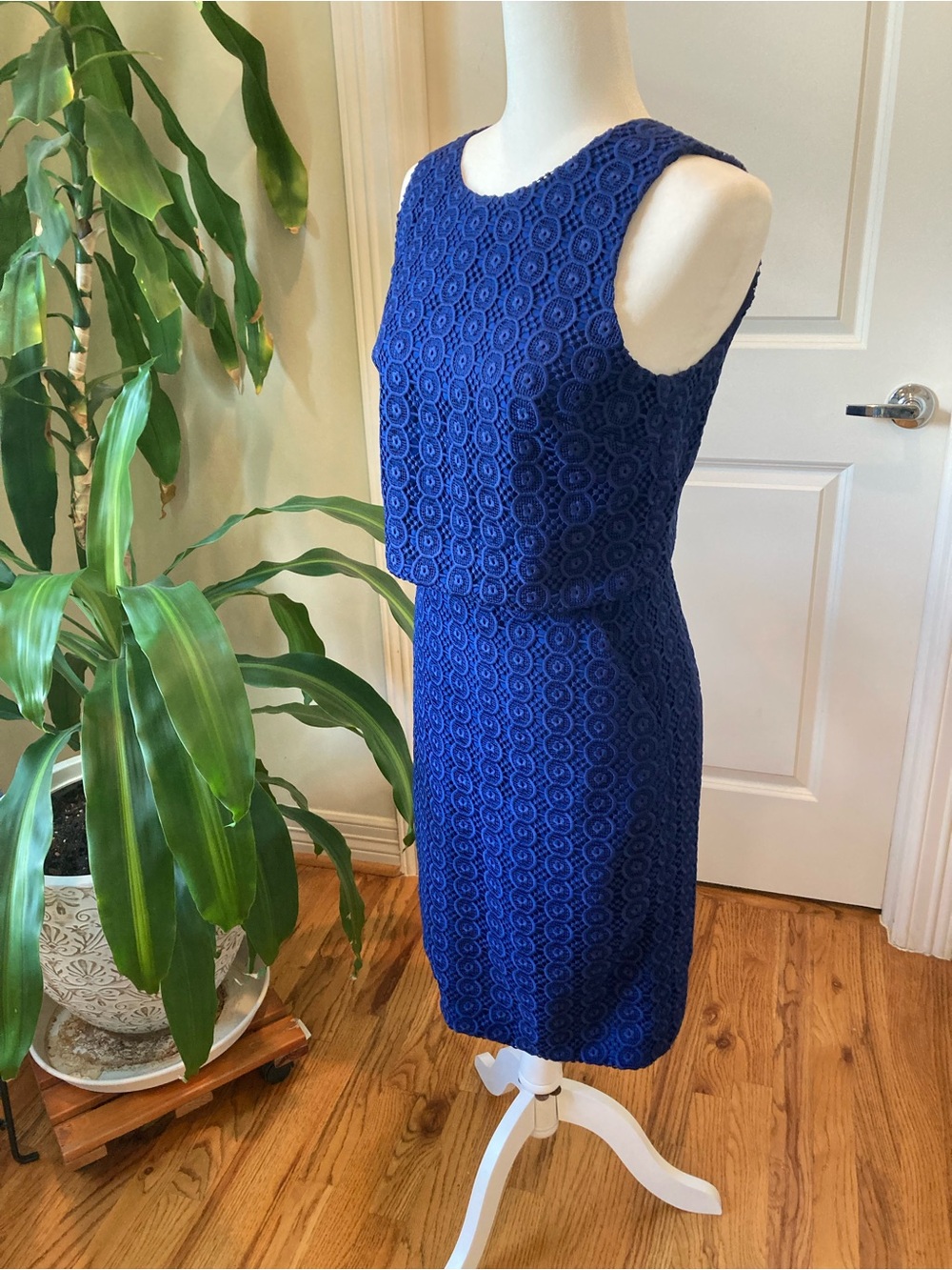 J. Crew Cobalt Blue Sleeveless Lace Sheath Dress